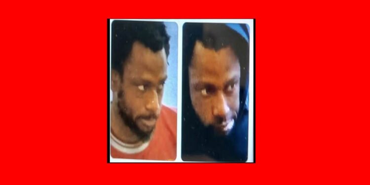 Hampshire Police Seek Information on Shoplifting Suspect in Southampton