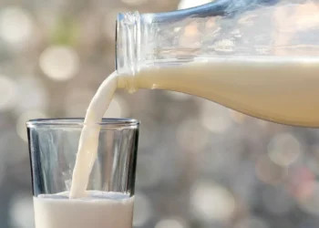 Local Dairy Farms Commit to Bovaer-Free Production in Southampton, Hampshire and The Isle of Wight