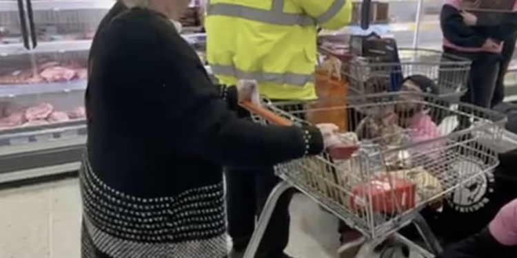 Moment furious shoppers barge Animal Rising activists with trolleys as they stage sit-in protest in Sainsbury’s Portswood meat aisle