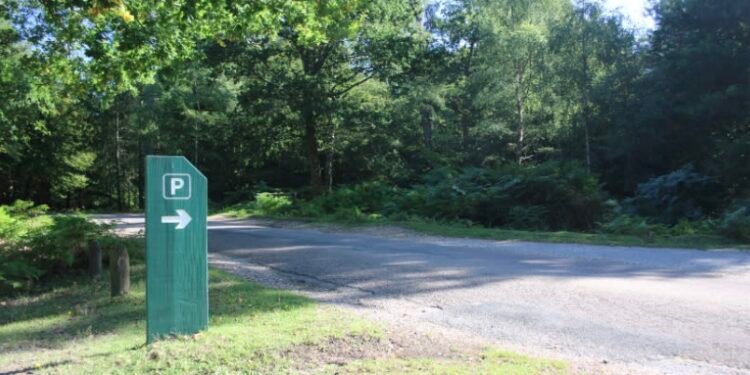 Free Parking in New Forest Set to End as Forestry England considers charges