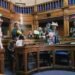 Southampton Council held meeting with actors dressed as animals, plants and flowers to highlight Green issues in the City